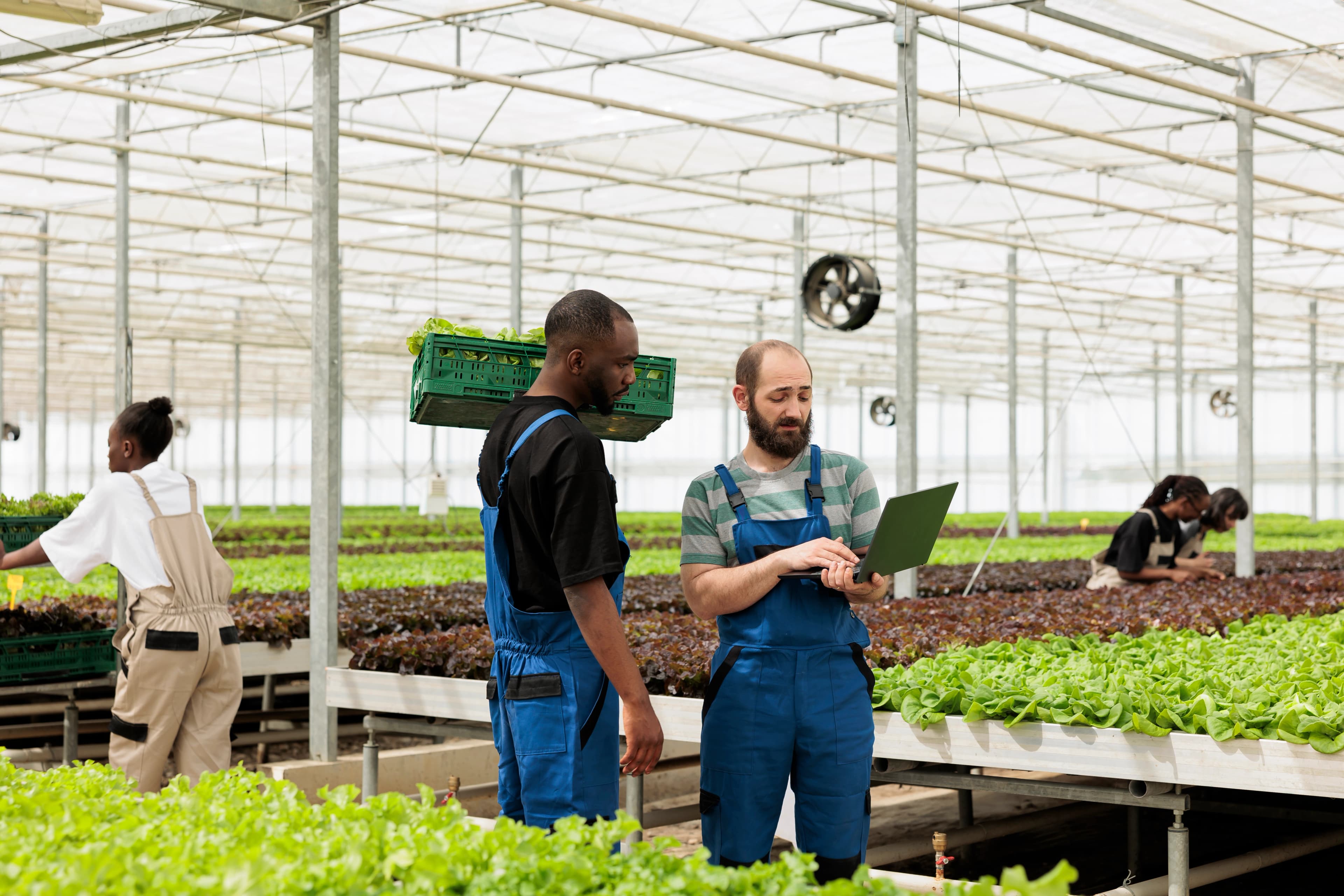 farmPhoto